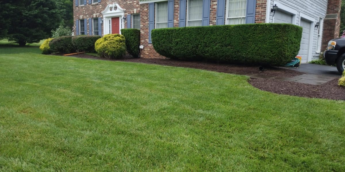 IMG_20210524_165735370