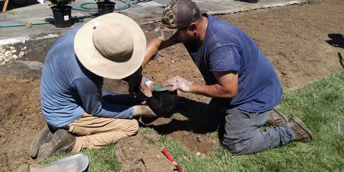 Landscaping Service Frederick, MD