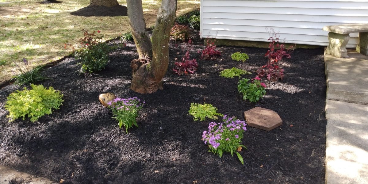 IMG_20210907_154543579