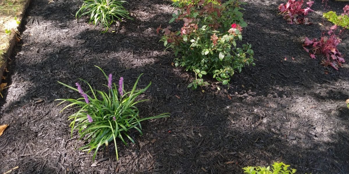 IMG_20210907_154609227