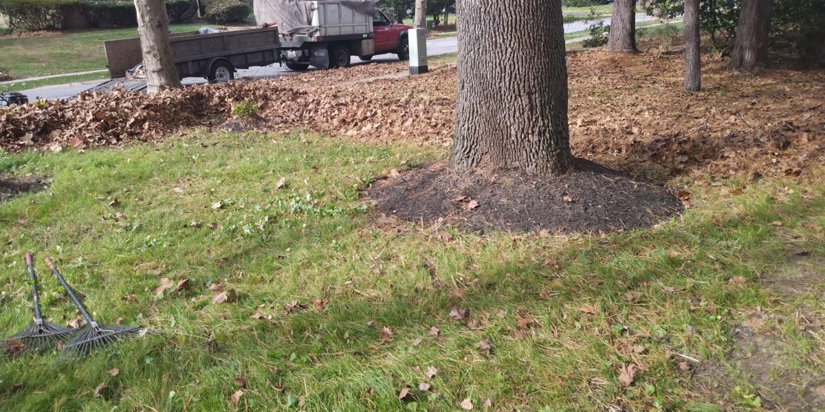 IMG_20211111_120626738