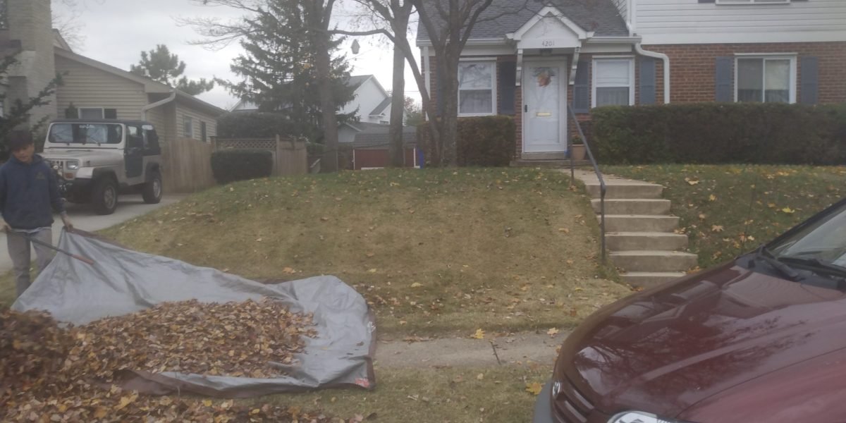 IMG_20211121_132509572