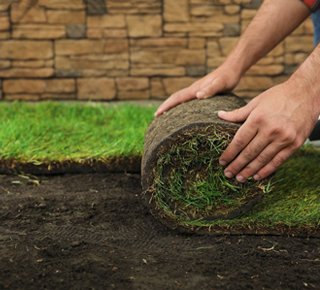 Get a Lush, Healthy Lawn with Professional SOD Installation Services