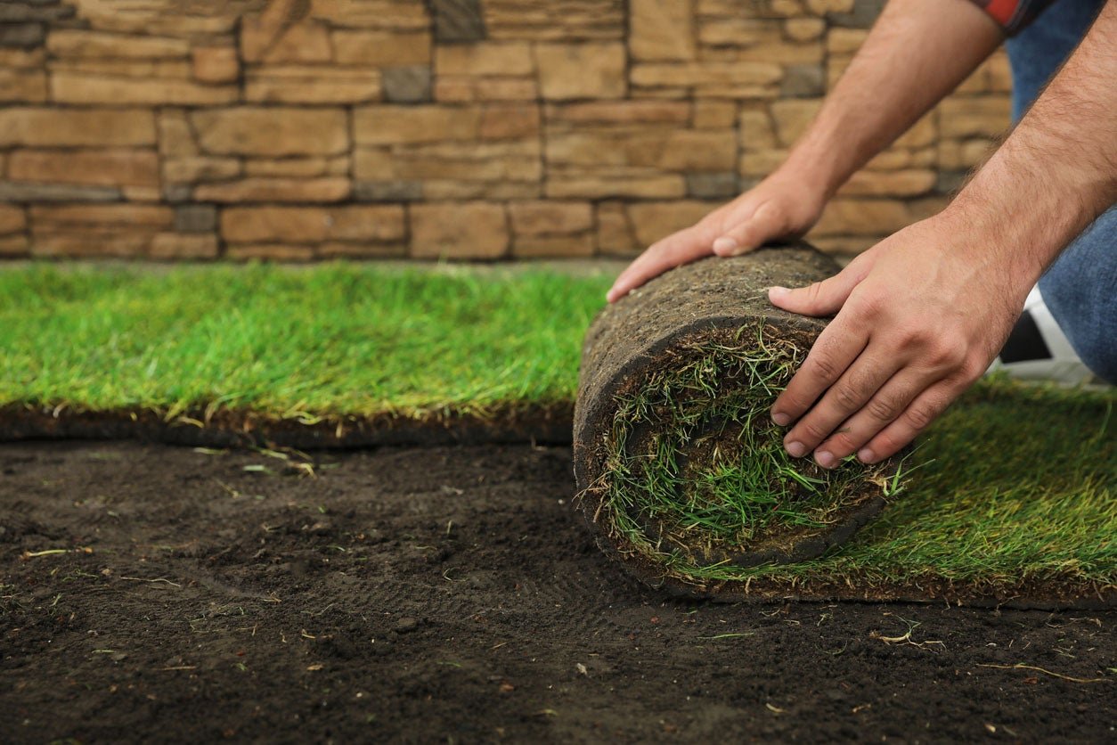 How to Maintain Your SOD Installation: Tips for Long-Term Success