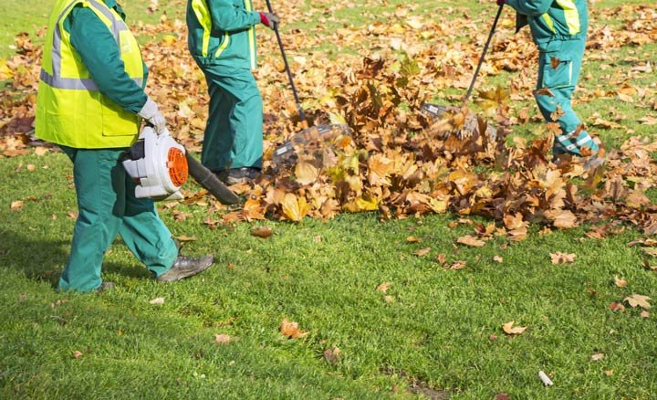 What Are the Common Mistakes to Avoid During Spring & Fall Cleanups?